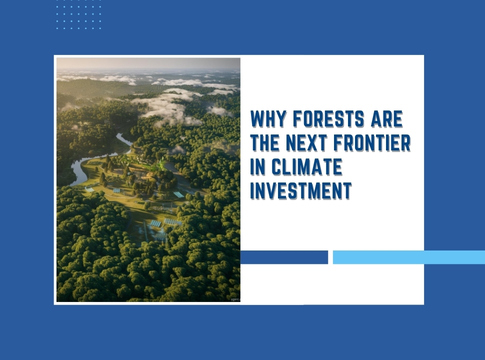 Why Forests Are the Next Frontier